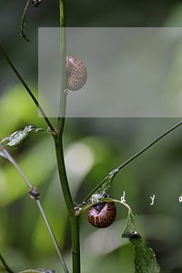 mdyd 745 mdyd 745